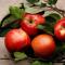 Baked apples in the oven: recipe, calorie content, benefits and harm